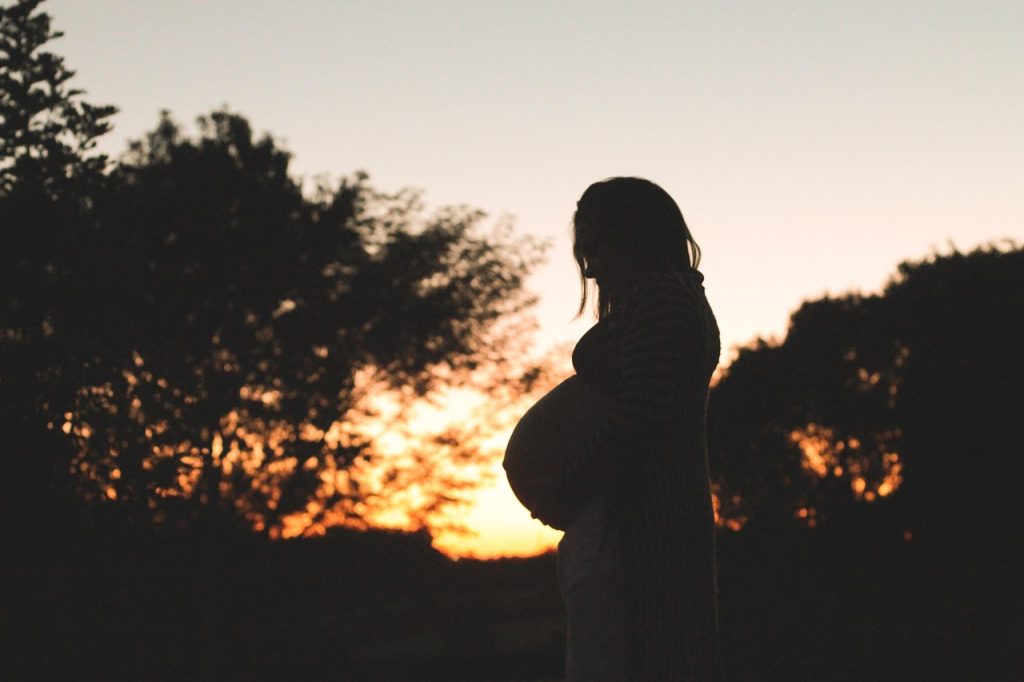 pregnant, sunset, trees, park, pregnant, nature, pregnant, pregnant, pregnant, pregnant